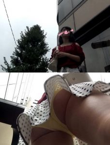 g537628