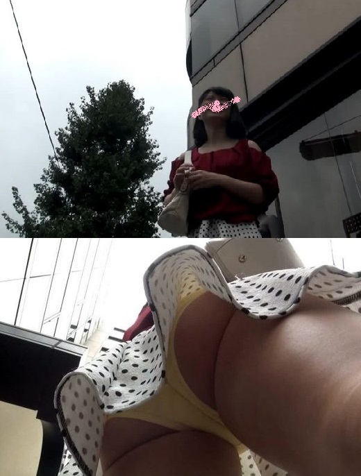 g537628
