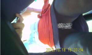 g411607