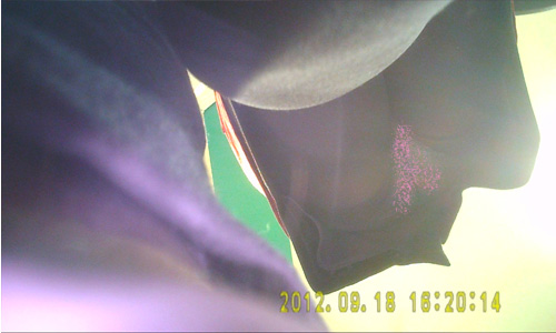 g406627