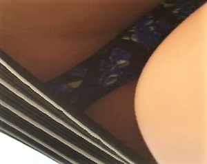 g515556