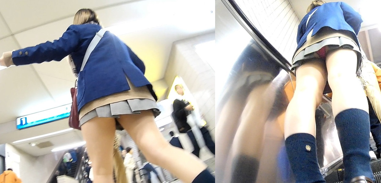 p285459044691b4428