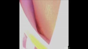 d15040892