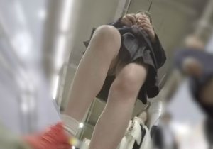 d15049621