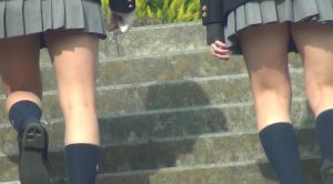 d15055017