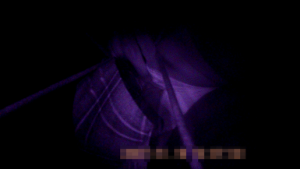 g573924
