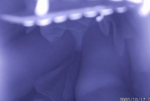 p6402595fb0b490043