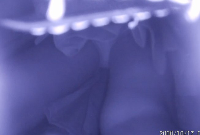 p6402595fb0b490043