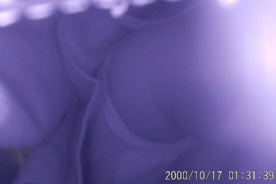 p6402595fb0b490043