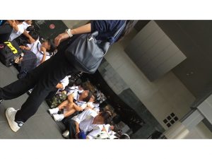 d15079083