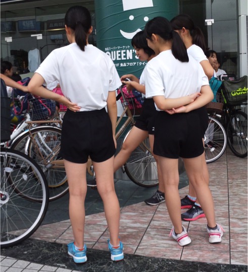 p958559b40544e70fc