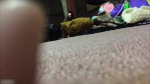d15093748