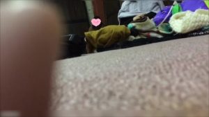 d15093748
