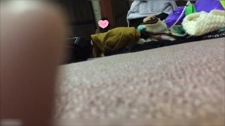 d15093748