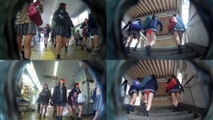 p228455ab4d981afbab