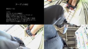 g662884