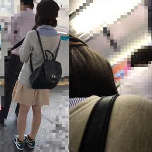 p443305bcfd3040263a