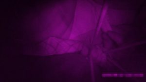 p571885c826eea3d315