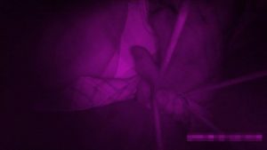 p571885c826eea3d315