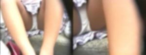d15044955