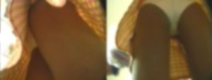 d15044955