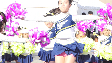 p790225d84706b86158
