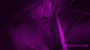 p786995d80117ad3765