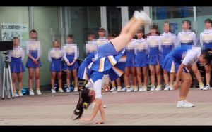 p848395dc697bc949ea
