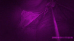 p904075e074317de43a
