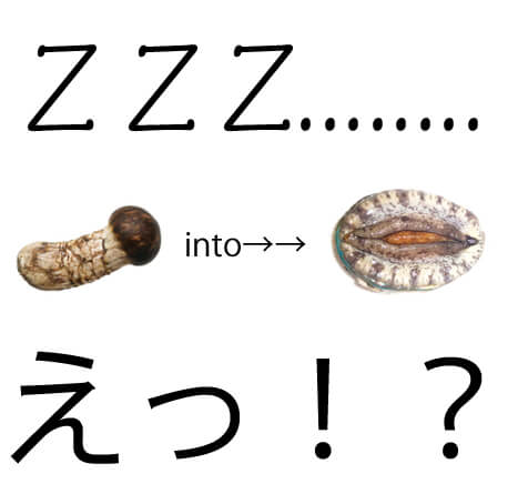 p247725ad573e72f859