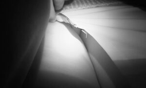 p1040585ea2f95b4ad31