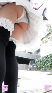 p1076985ecdcf496670e