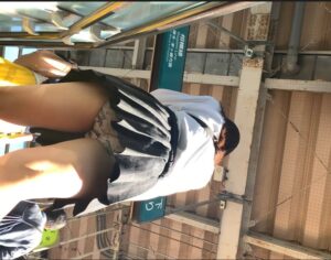 p1196775f69517c37ca3