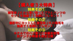 p1219155f890b443d425