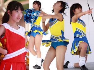 p1243485fab0de12cf40