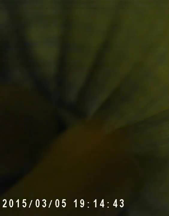 p1030115e98ddad9ba2b