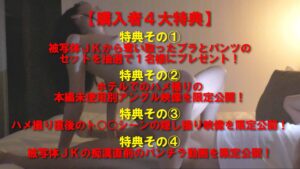 p1245945fae280c66c28