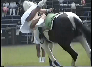 p1277655fdad08d949be