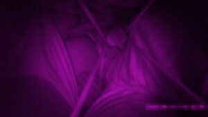 p131583600d512f11cda