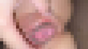 p131941601297733f55b