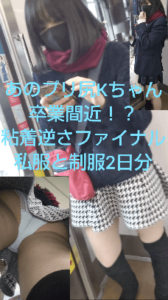 p132979601ee69067c12