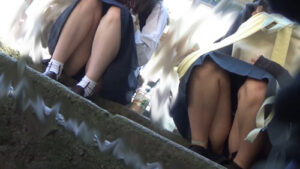 p133093601febdc8cdd1