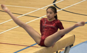 p137834605b8fe67b3ea