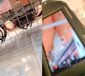 p1374936057149a202ee