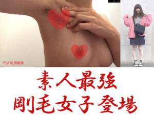 p134325602fd328225cf