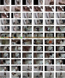 p137733605a1c1e05dea