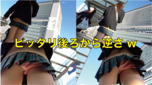 p14626760c99f4b84384