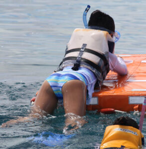 p154480612a72e3c949a