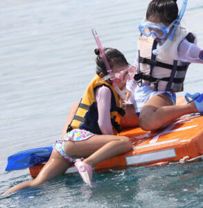 p154480612a72e3c949a