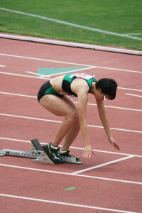 p1539586123a1a638fdf